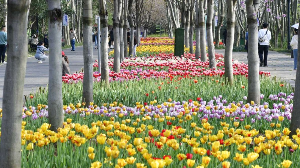 CA88(中国区)有限公司 - 官方网站