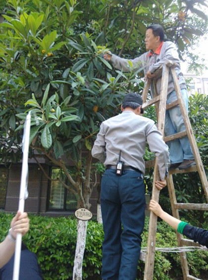 CA88(中国区)有限公司 - 官方网站