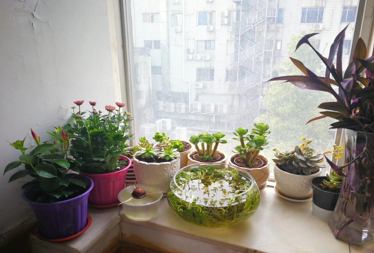 CA88(中国区)有限公司 - 官方网站