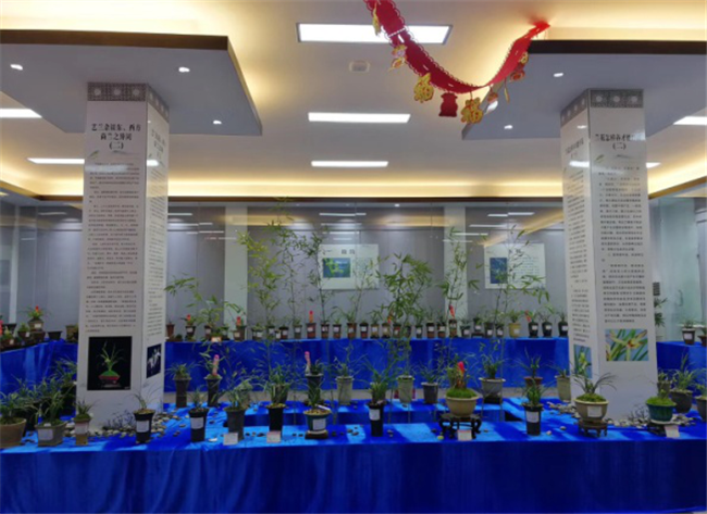 CA88(中国区)有限公司 - 官方网站