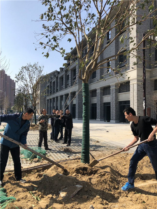 CA88(中国区)有限公司 - 官方网站