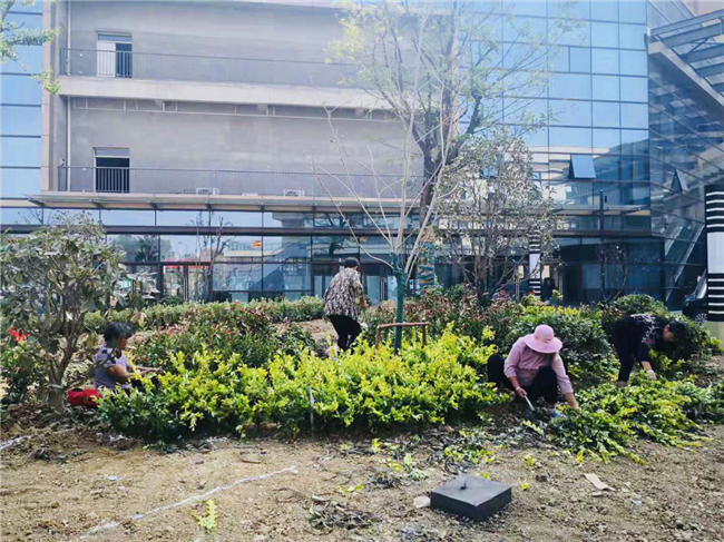 CA88(中国区)有限公司 - 官方网站