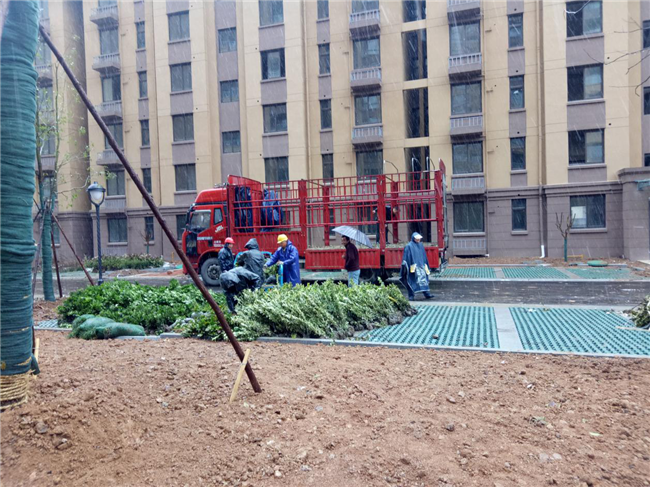 CA88(中国区)有限公司 - 官方网站