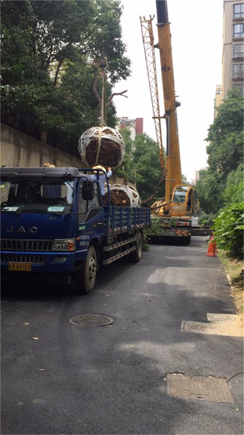 CA88(中国区)有限公司 - 官方网站