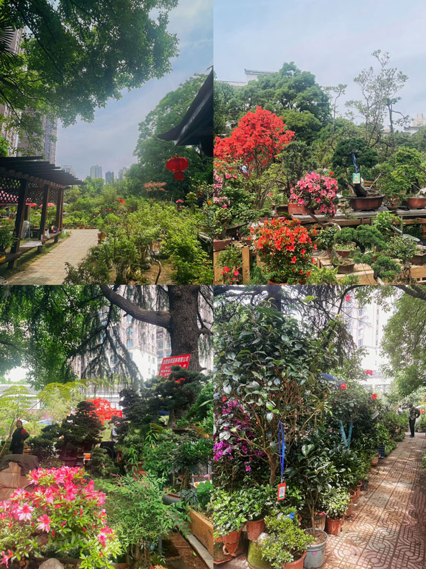 CA88(中国区)有限公司 - 官方网站